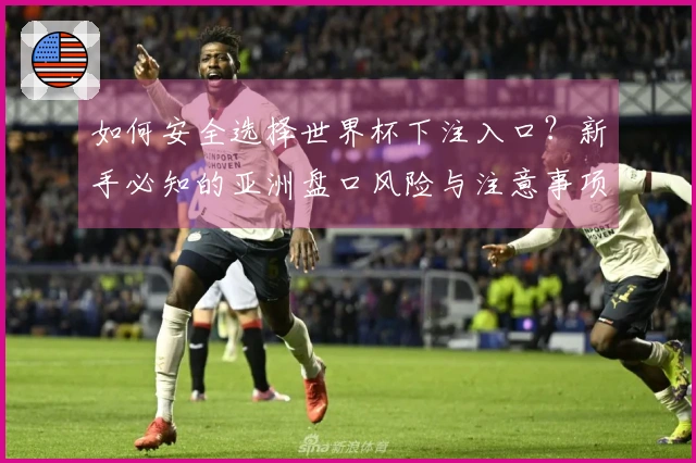 如何安全选择世界杯下注入口？新手必知的亚洲盘口风险与注意事项
