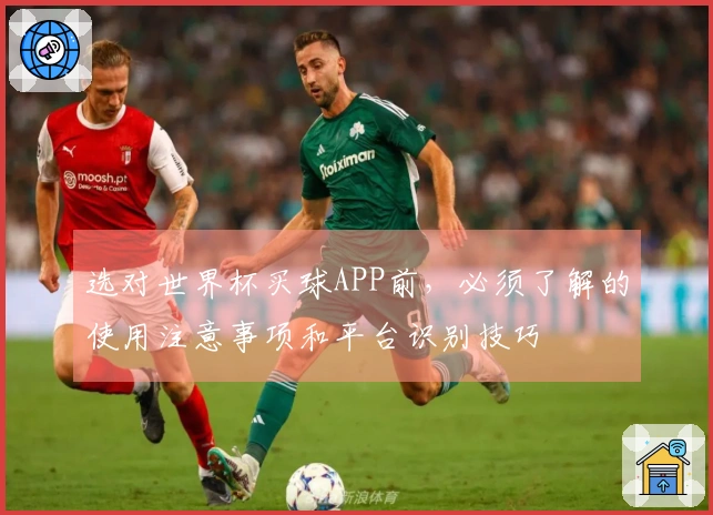 选对世界杯买球APP前，必须了解的使用注意事项和平台识别技巧