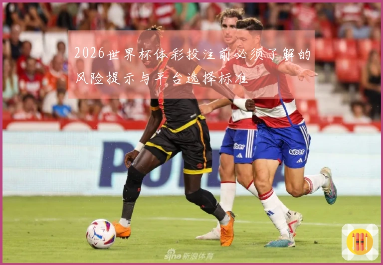 2026世界杯体彩投注前必须了解的风险提示与平台选择标准